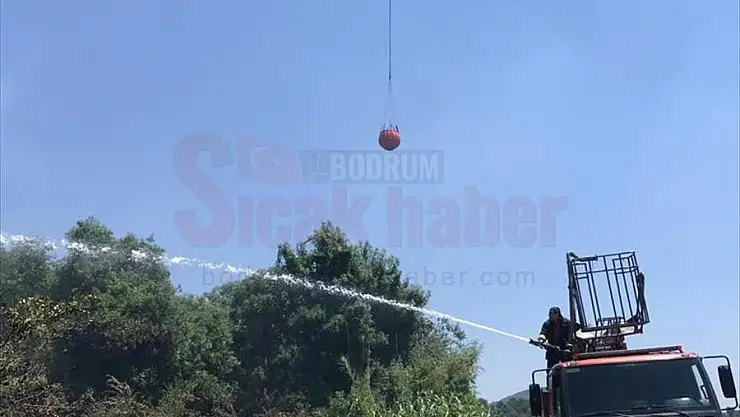 Orman ve makilik alanda yangın başladı
