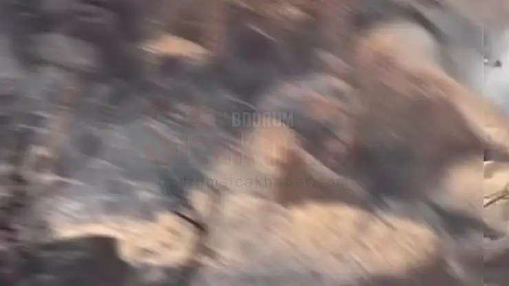 Orman Yangını, Öldürülen Kişinin Cesedinin Ateşe Verilmesi Sonucu Çıktı