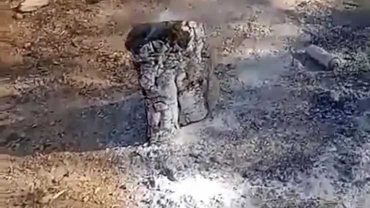 Orman yangınına davetiye ateşi söndürmeden gittiler