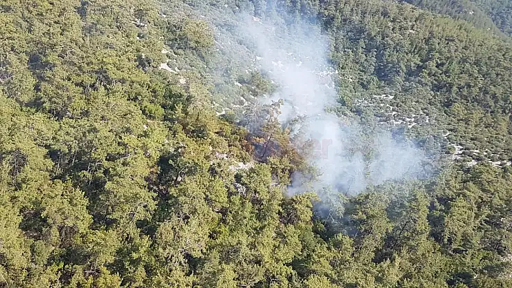 Orman Yangınına Havadan ve Karadan Müdahale Ediliyor