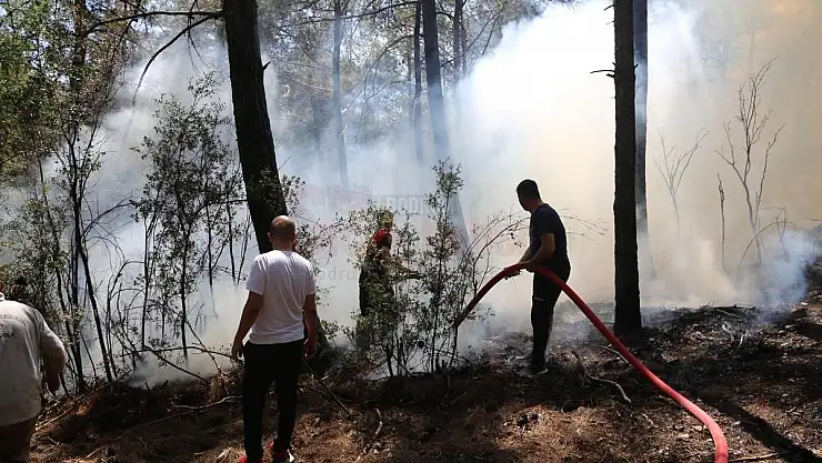 Orman Yangınında 1 Dönüm Zarar Gördü