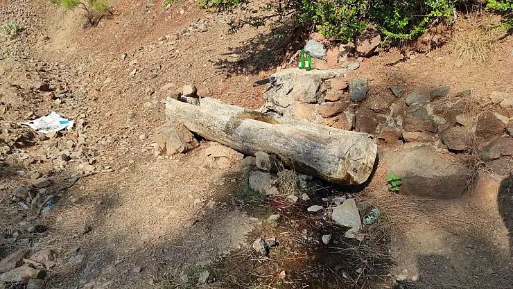 Ormana Bırakılan Bebekle İlgili 2 Şüpheli Tutuklandı