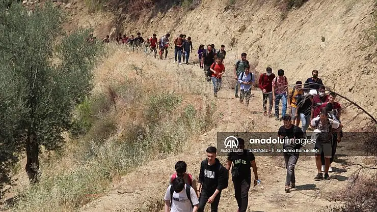 Ormanlık alanda 74 düzensiz göçmen yakalandı