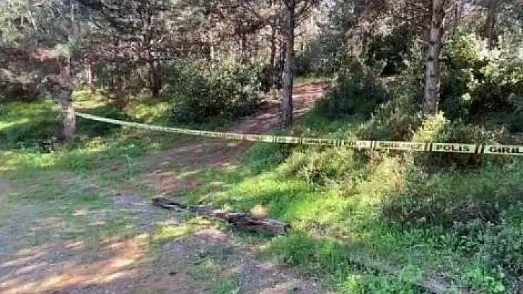 Ormanlık Alanda Kadın Cesedi Bulundu