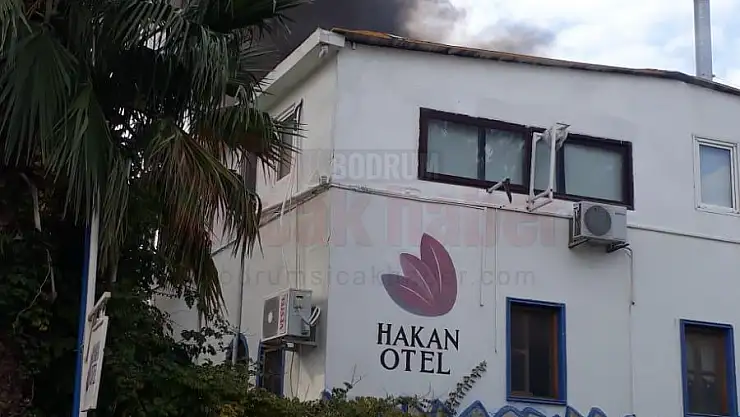Otelde Çıkan Yangında Can Dostları Ekiplerce Kurtarıldı