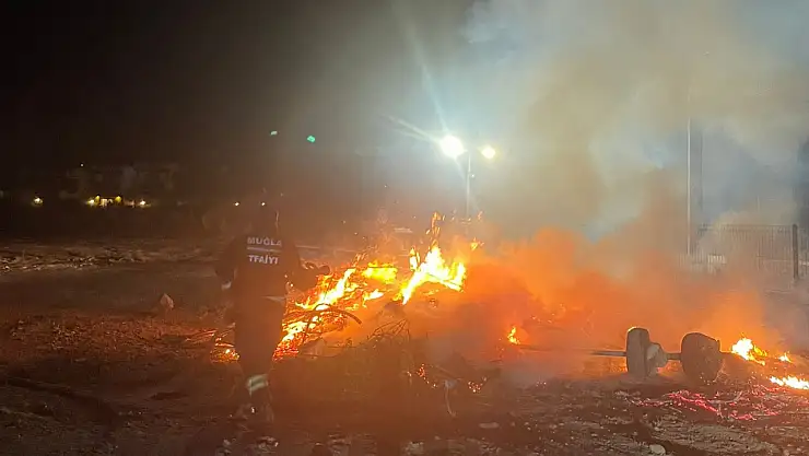 Otluk alanda çıkan alevler evlere yaklaşmadan söndürüldü