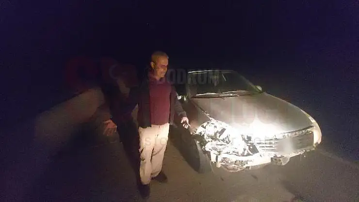 Otomobil Domuz Sürüsüne Dalıp 4 Domuzu Telef Etti
