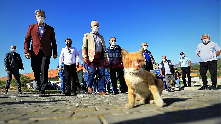 Pandemi Döneminde Can Dostlara İlgi Arttı