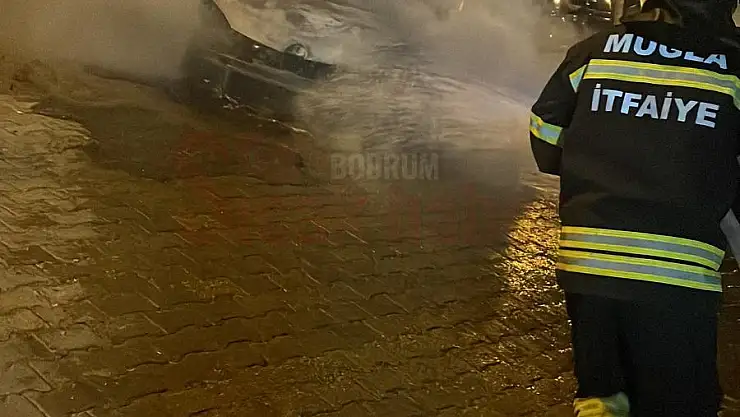 Park Halinde Yanan Otomobil Küle Döndü