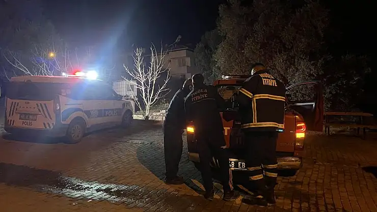 Park Halindeki Araç Alev Aldı