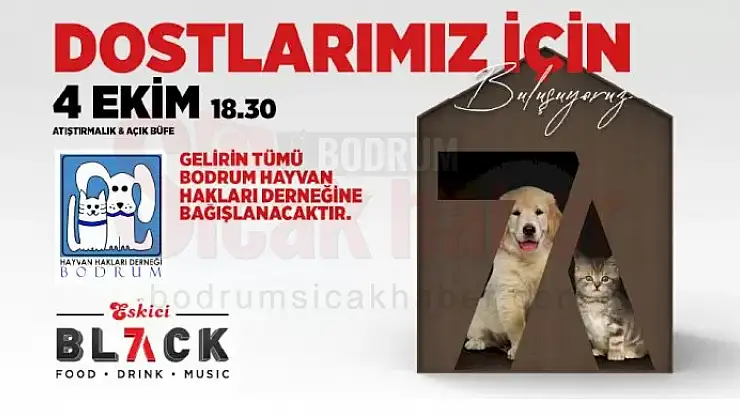 Patili Dostlarımız İçin Buluşuyorlar