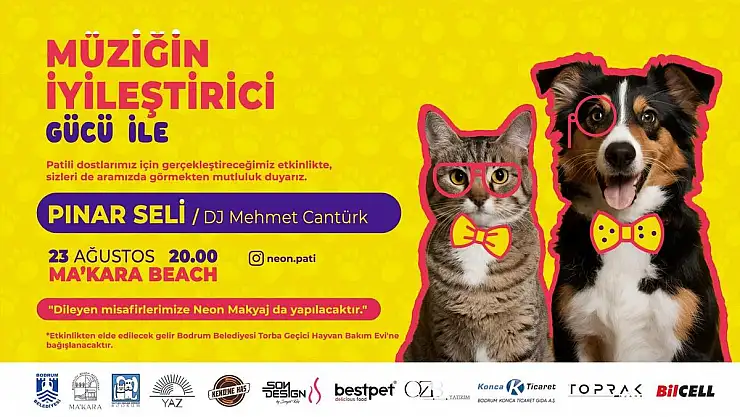 Patili Dostlarımız İçin 'Neon Pati'