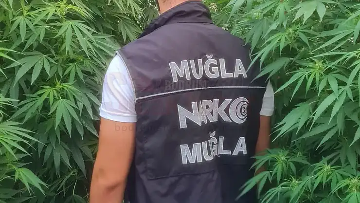 Polis Ekiplerinden Seraya Uyuşturucuya Baskını