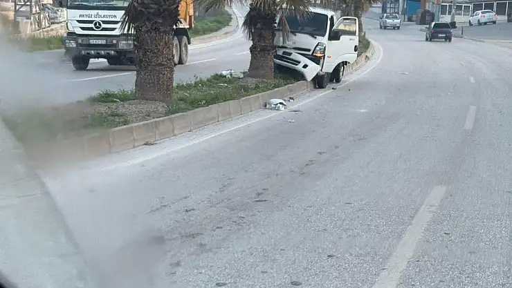 Refüje Çıkıp Ağaca Çarparak Durdu