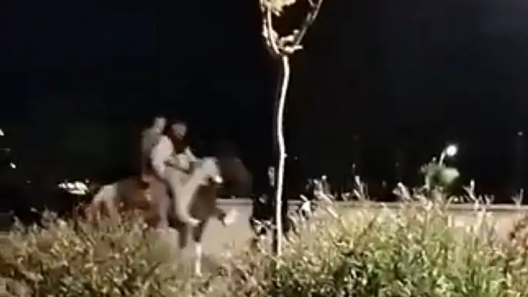 Sahilde atla tehlikeli anlar !