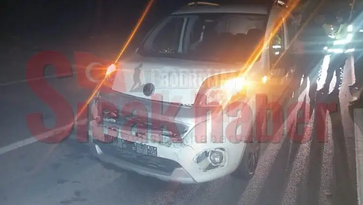 Seyir Halindeki Aracın Ani Fren Yapması Kazaya Sebep Oldu.