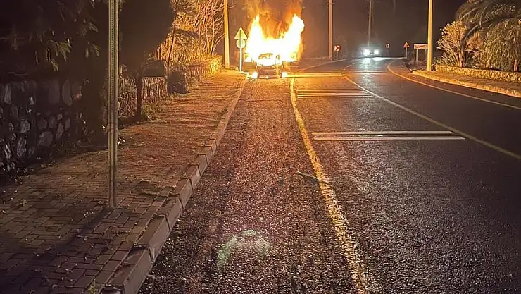 Seyir Halindeki Hafif Ticari Araç Yandı