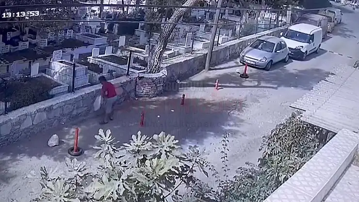 Sokak Hayvanları İçin Konulan Mama Kaplarını Çaldı