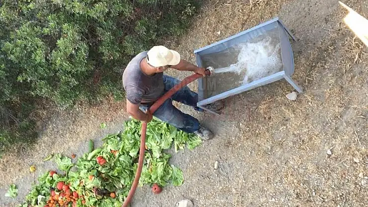 Sokak Hayvanlarına Devamlı Su ve Yemek Veriyorlar