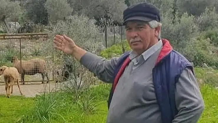 Sürek avında arkadaşını vurdu