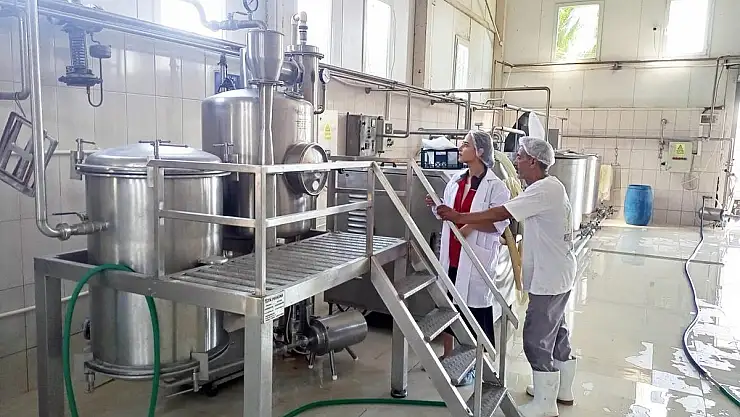 Süt ve Süt Ürünleri İşletmelerinde Denetim