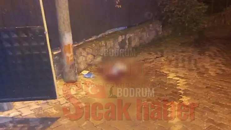 Tartıştığı Arkadaşını Bıçakladı