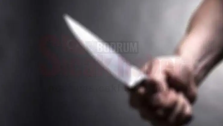 Tartıştığı Eşini, Kayınvalidesini ve Kayınpederini Bıçakladı
