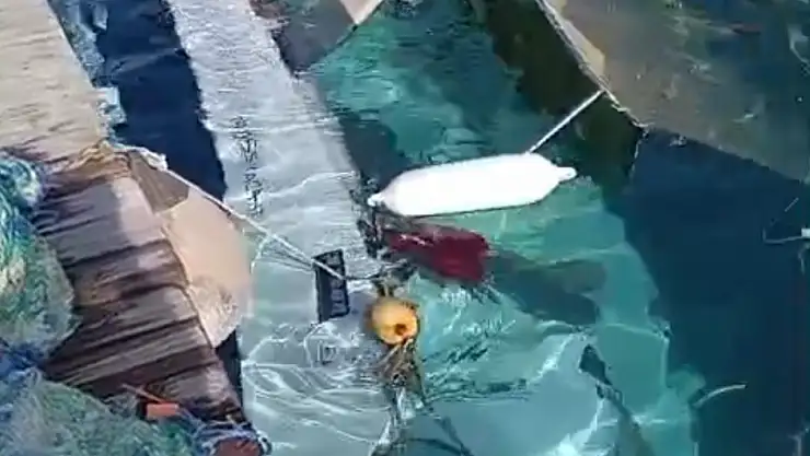 Tekne sulara gömüldü