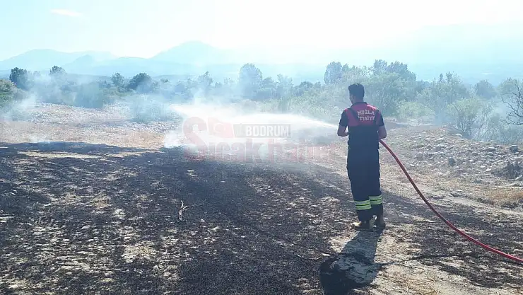Temizlik Ateşi 20 Dönüme Zarar Verdi