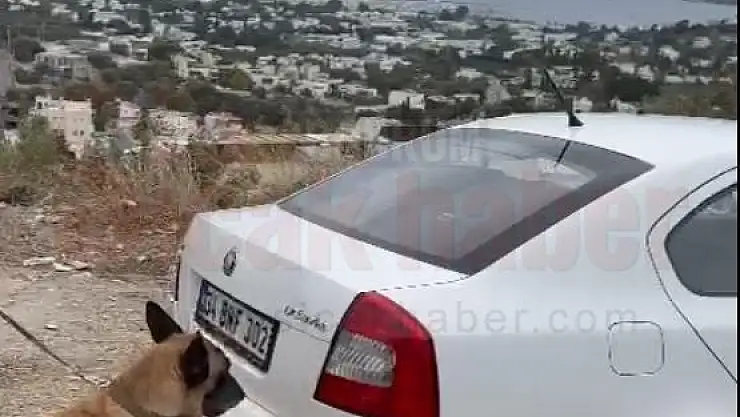 Tina, Uyuşturucuya Geçit Vermedi