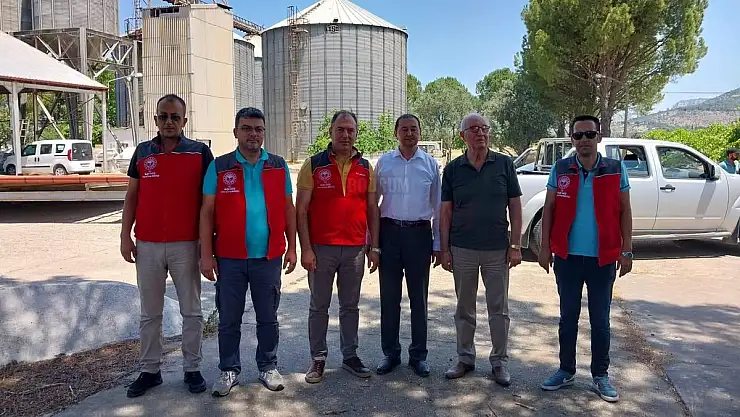 TMO Hububat Alımlarına Başladı