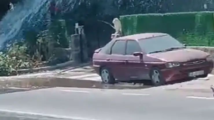Tonlarca Su Bölgeye Dağıldı