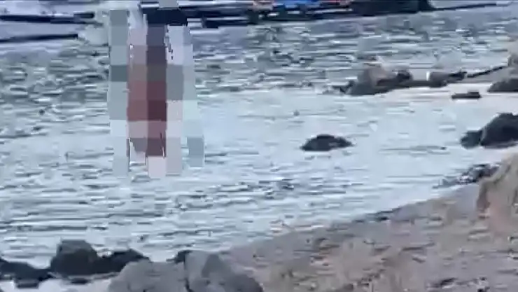 Torba limanı'nda şaşırtan görüntüler ! gündüz vakti denizde çıplak şov !
