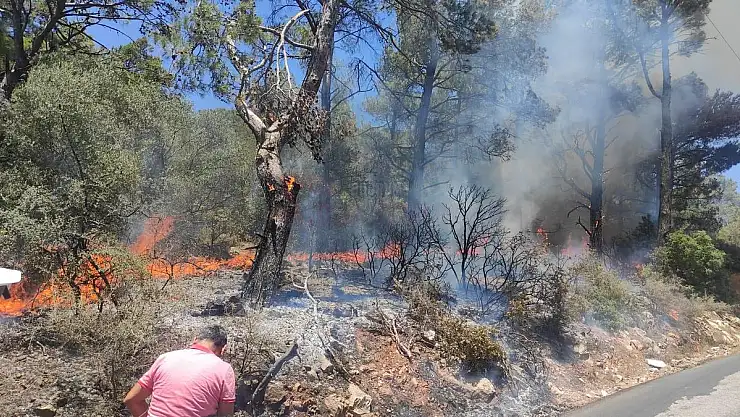 Torba'da Çıkan Yangın Ekiplerce Söndürüldü
