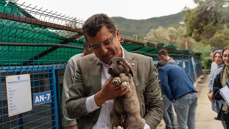 Tosun Hayvan Dostu Gönüllülerimizle Birlikte Çalışacağız