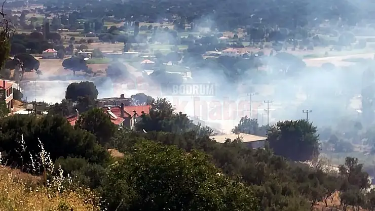 Trafo'da Çıkan Yangın Panikletti