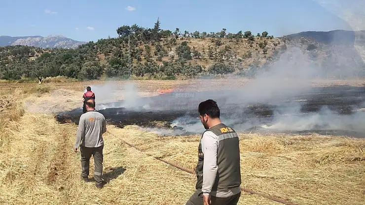 Traktör Egzozdan Çıkan Kıvılcımlar Otluk Yangınına Neden Oldu