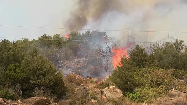 Datça'da orman yangını başladı