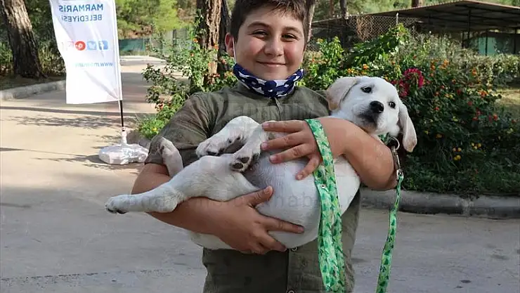 Marmaris'te geçen yıl 8 bin 76 hayvan rehabilite edildi