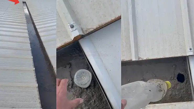 Turgutreis Pazar Yerinde Yapılan İşlem, Görenleri Şaşırttı