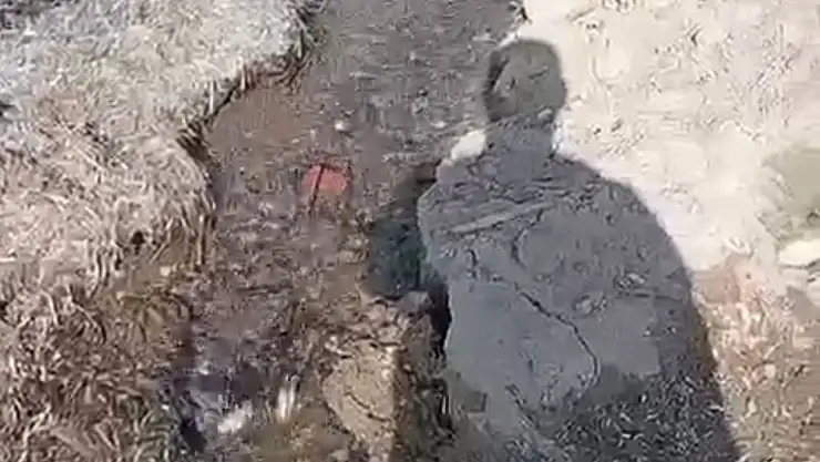 Turgutreis'te boşa akan su tepki çekti