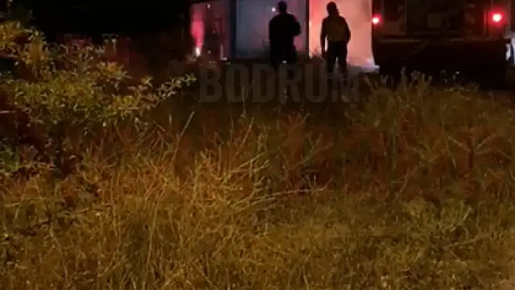 Turgutreis'te Korkutan Yangın