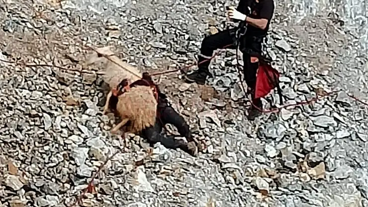 Uçuruma Düşen Koyun Kurtarıldı