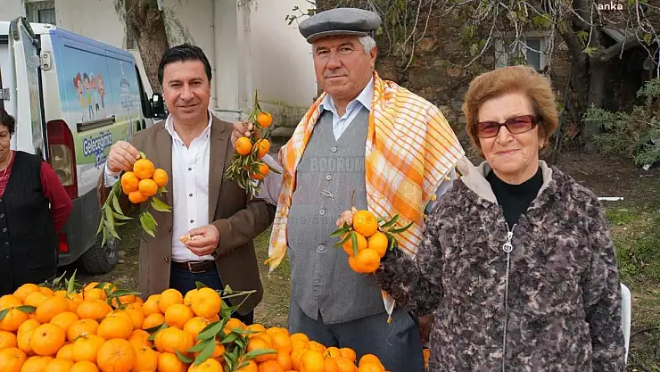 Üreticiden Mandalin Alımı Sürüyor