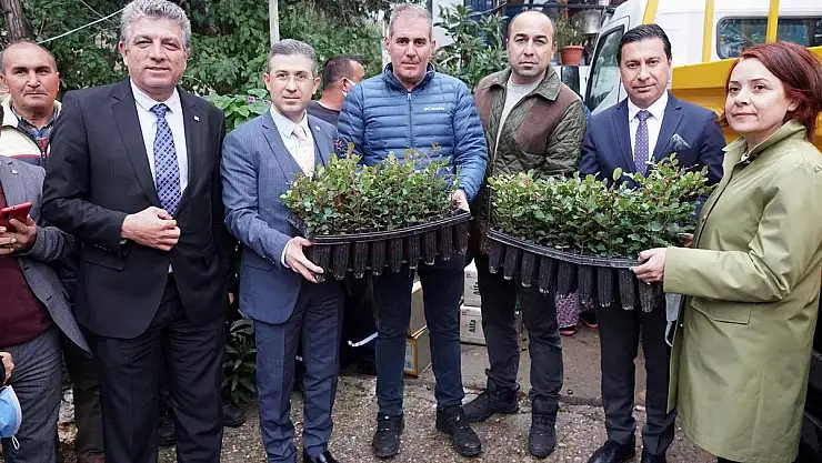 ÜRETİCİLERE 20 BİN ADET KEÇİBOYNUZU FİDANI DAĞITILDI
