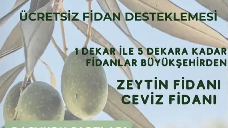 Üreticiye ücretsiz fidan desteği