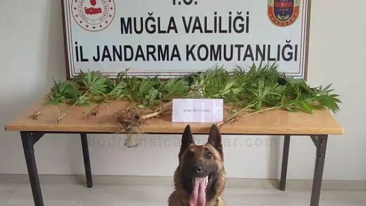 Uyuşturucu Madde İmali ve Ticareti Yapan 5 Şüpheli Yakalandı