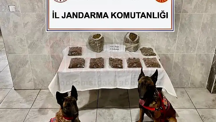 Uyuşturucu Operasyonunda 1 Kişi Gözaltına Alındı