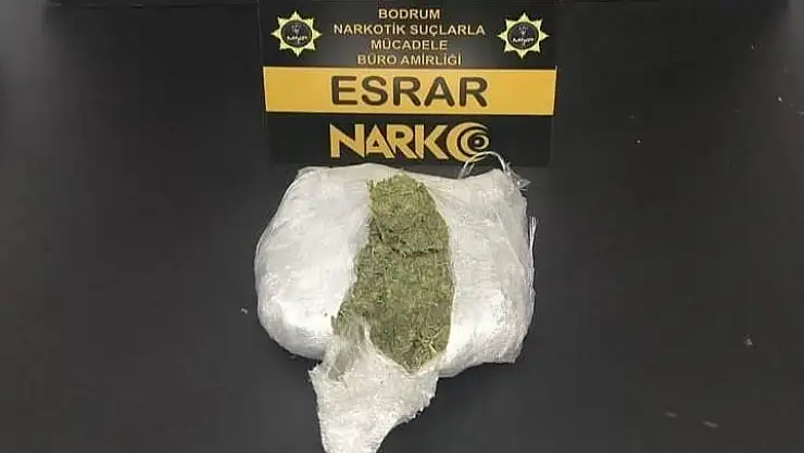 Uyuşturucu Operasyonunda 2 Gözaltı