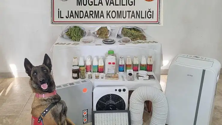 Uyuşturucu Operasyonunda 2 Kişi Gözaltına Alındı